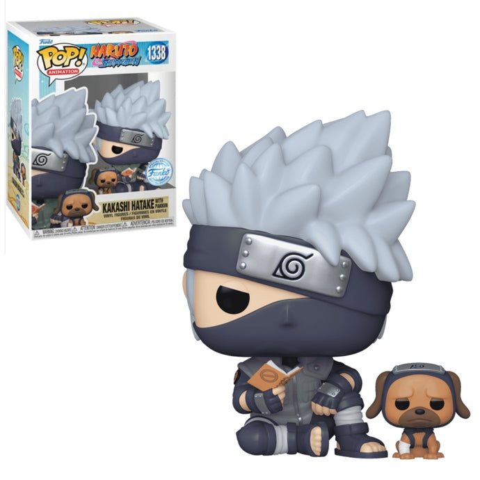 Kakashi with Pakkun