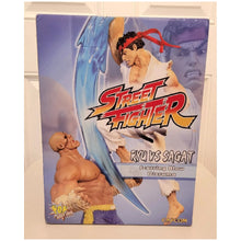 Load image into Gallery viewer, Street Fighter Ryu vs Sagat Diorama Statue
